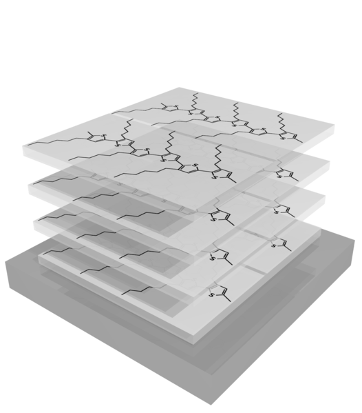 File:Cell3-face on2.png